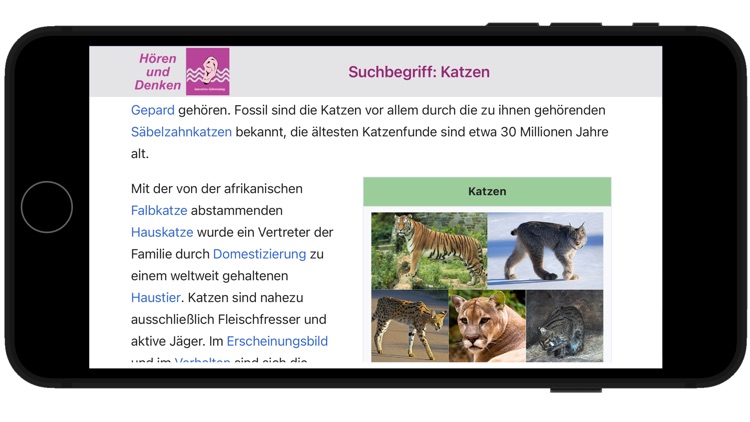 memo Hören & Denken 1-3 screenshot-3