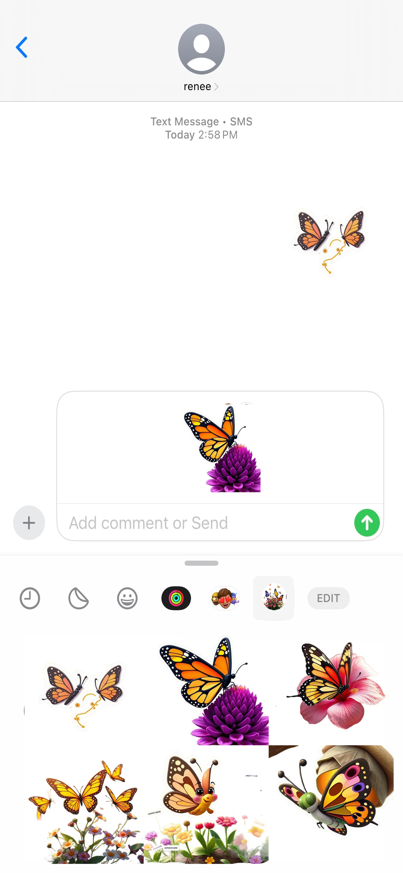 Butterfly Garden Stickers