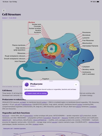 HSC Study Biology iPad screenshot