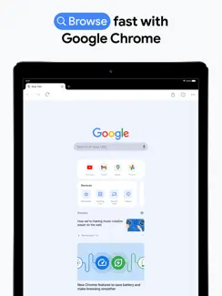 Google Chrome iPad image 1