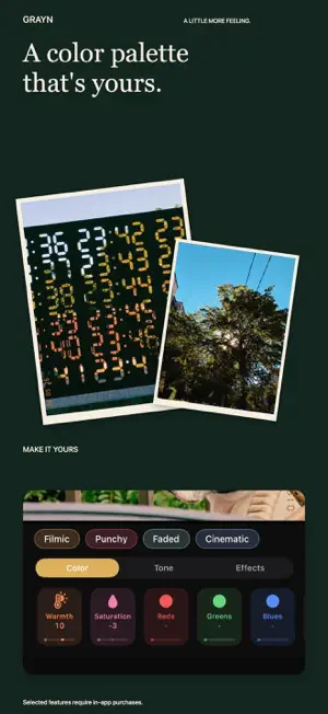 Grayn: Analog Film Camera screenshot 2