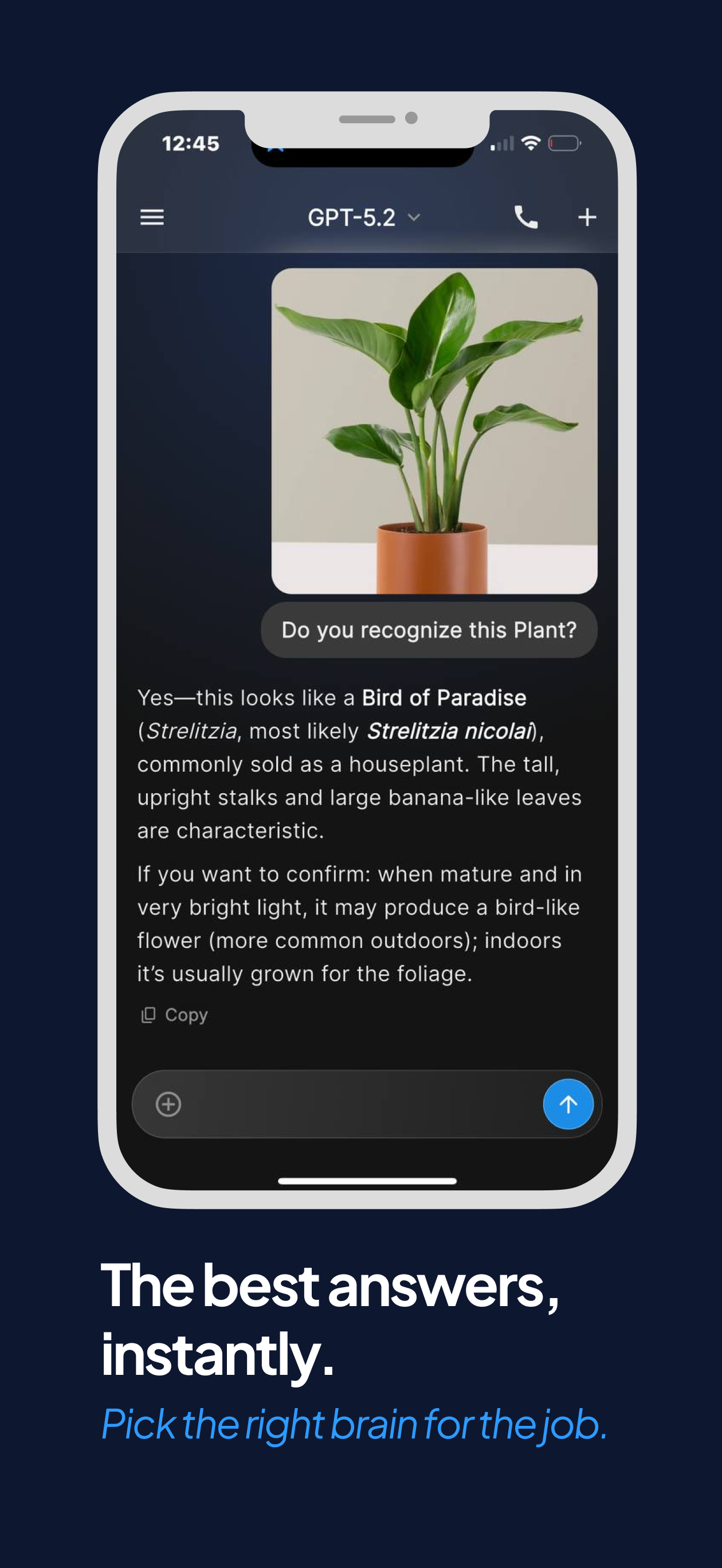 GPTExpress screenshot 2