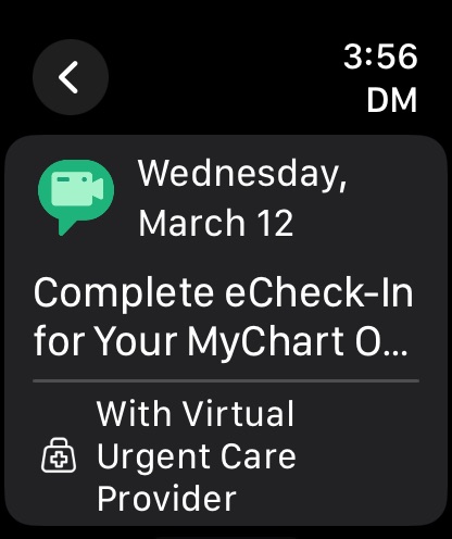 Apple Watch screenshot
