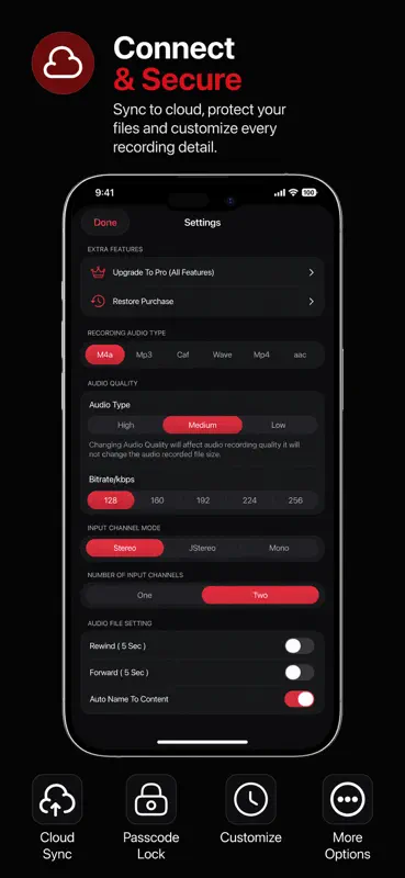 Voice Memos Recorder Plus Pro screenshot 5 of 5