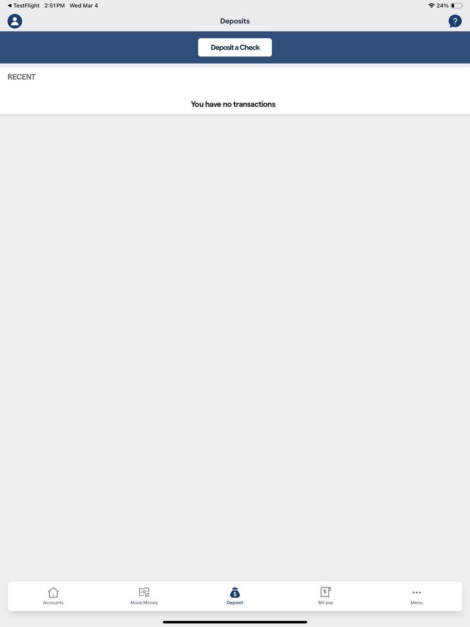 iPad screenshot