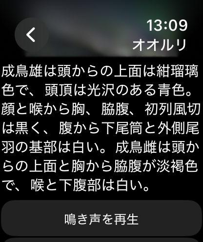 日本の野鳥（山溪ハンディ図鑑）