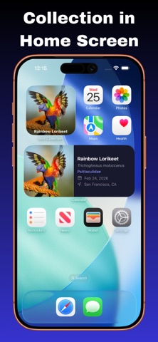 Bird Collection: AI识鸟 screenshot