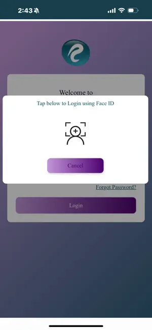 ruya business screenshot 2