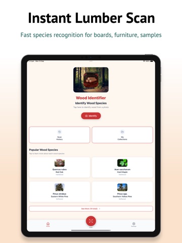 Wood Identifier & Lumber Scan ipad screenshot 4