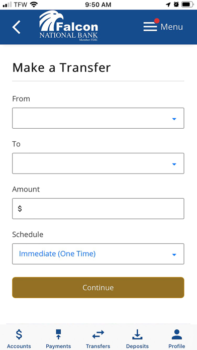 Falcon National Bank Screenshot