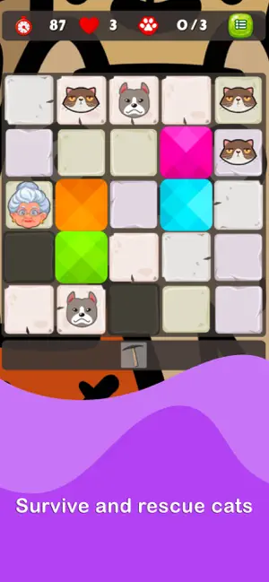 Crazy Cat Lady Slide Puzzle screenshot 3