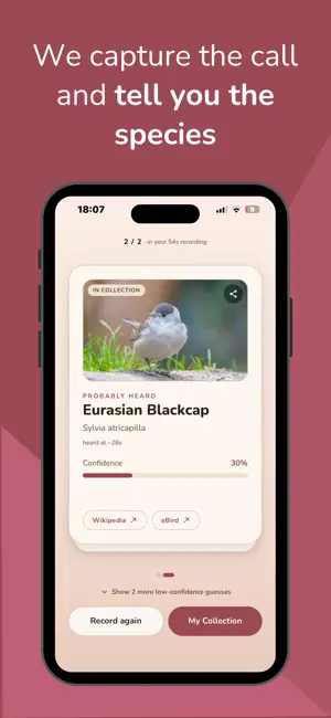 Pio: Bird Sound Identifier screenshot 2