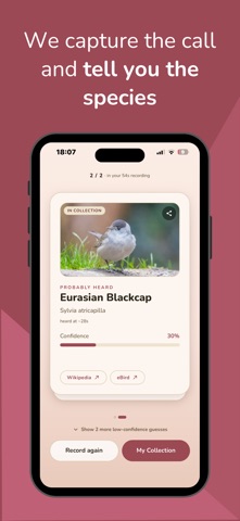 Pio: Bird Sound Identifier Screenshot 2 of 7