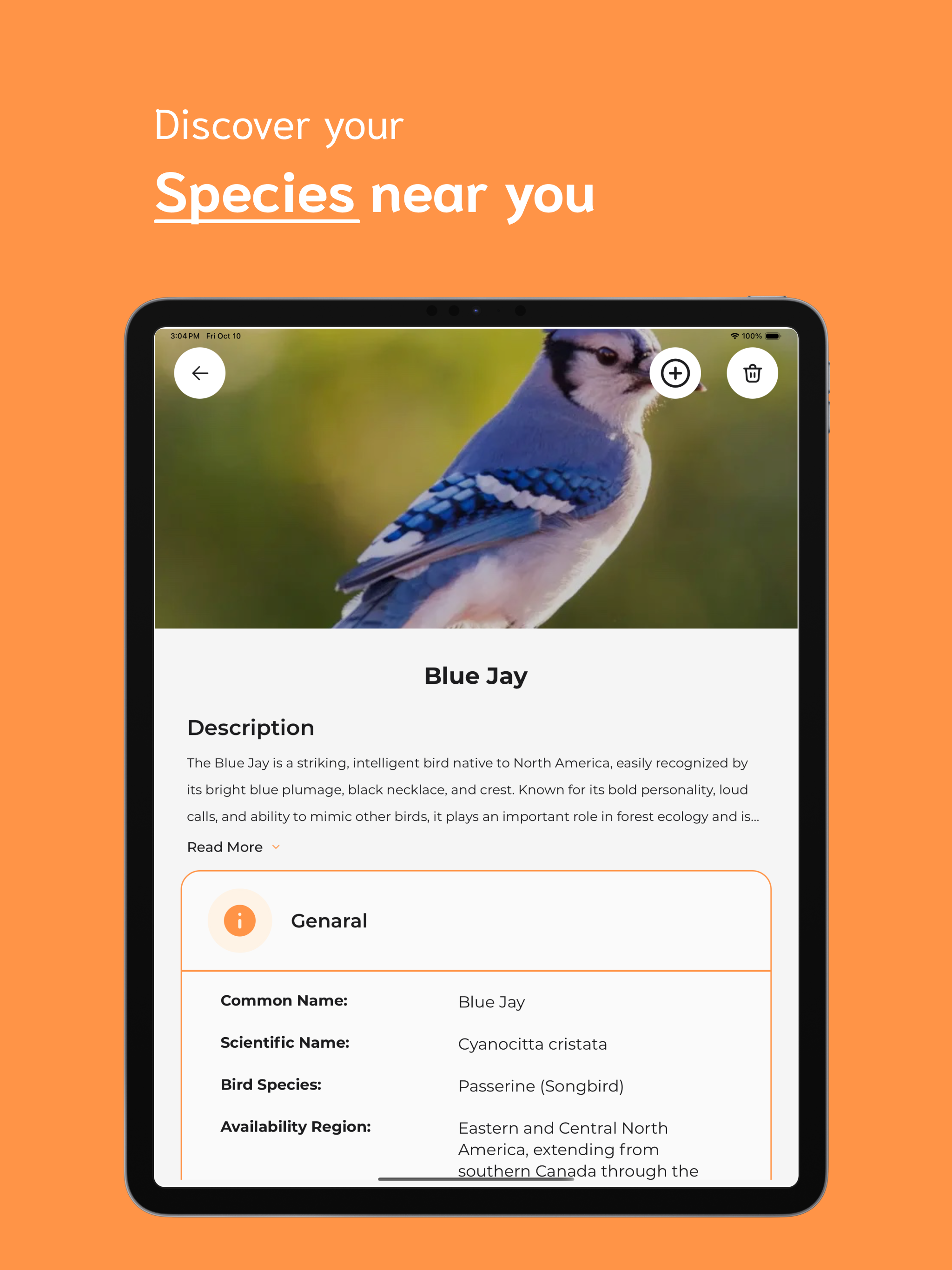 Bird Identifier - BI screenshot 8
