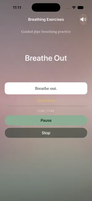 Eiriu Eolas screenshot 2