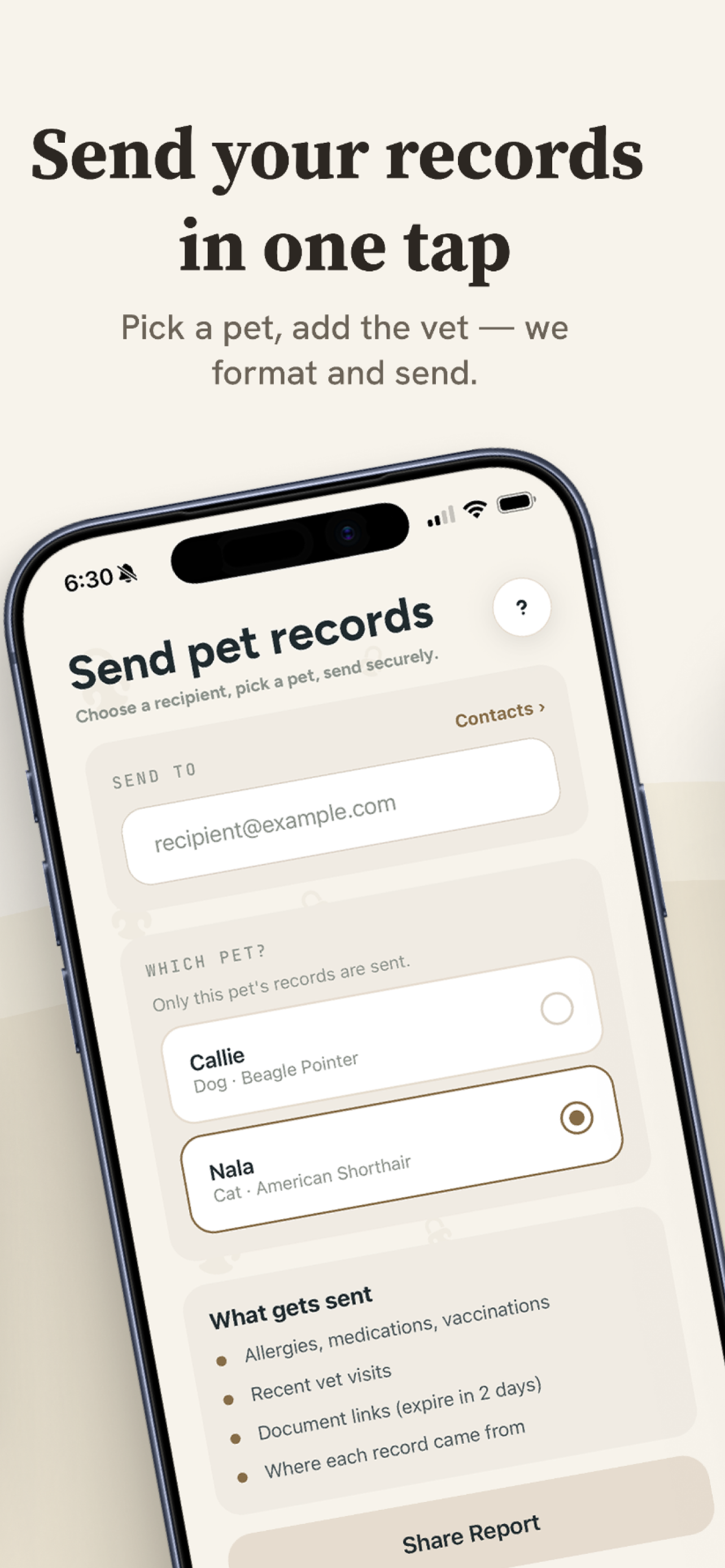MyPetVault: Pet Record Manager