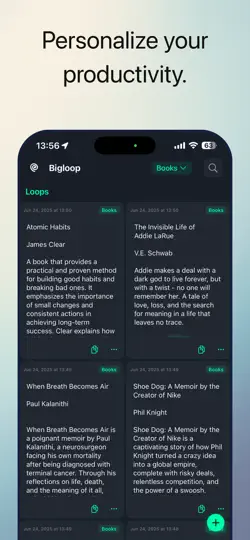 Bigloop iPhone Screenshot 2