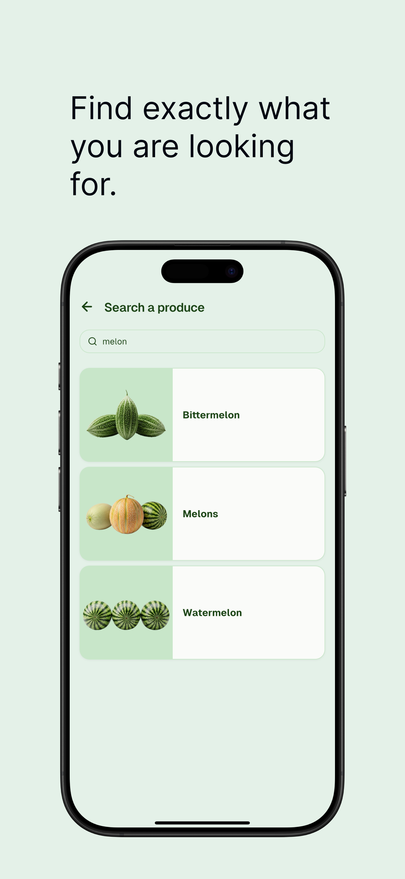 Produce Pal: Fresh Find screenshot 4