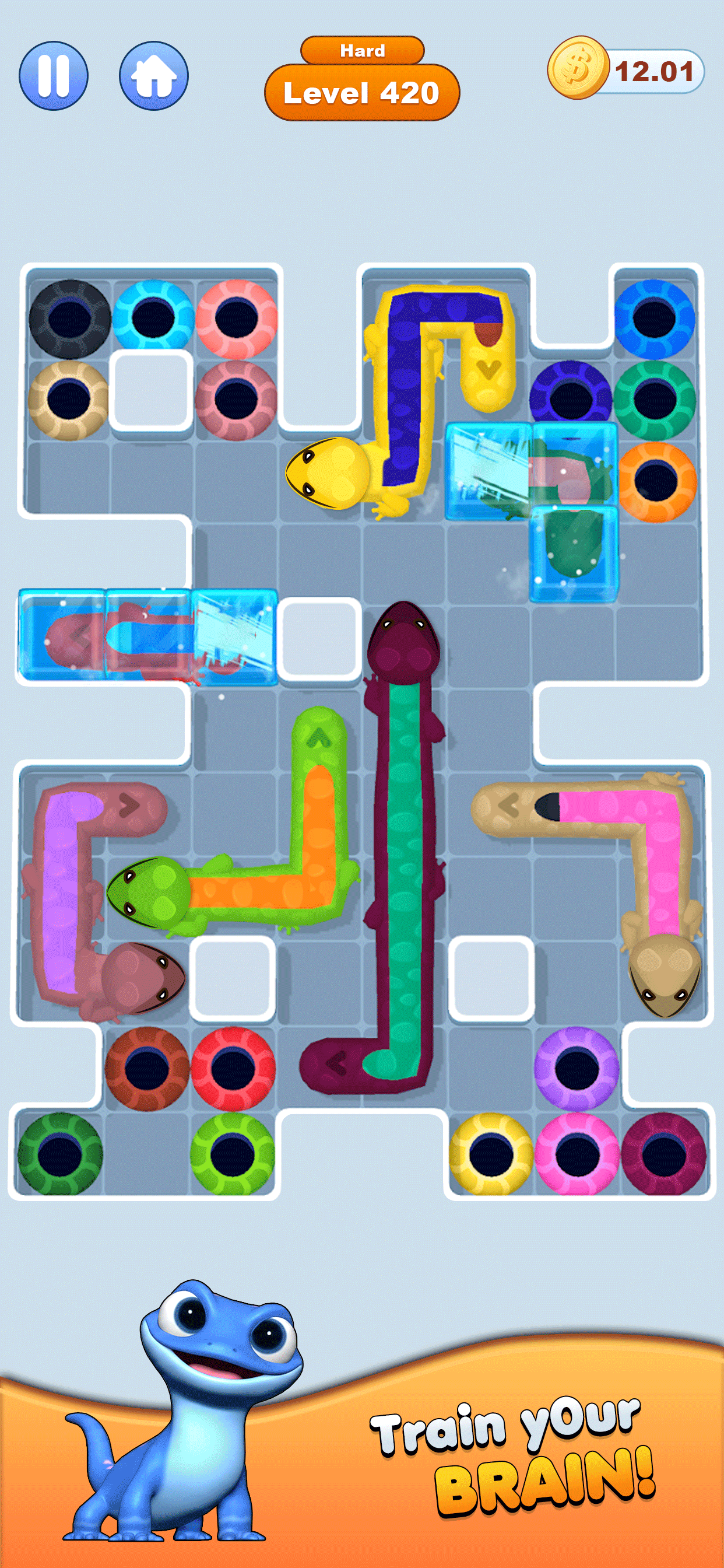 Gecko Puzzle: Snake Escape