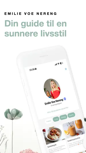 Ems screenshot 1