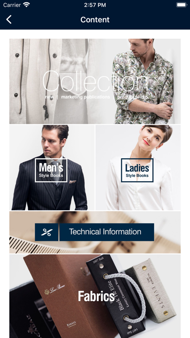Stylers Digital Screenshot