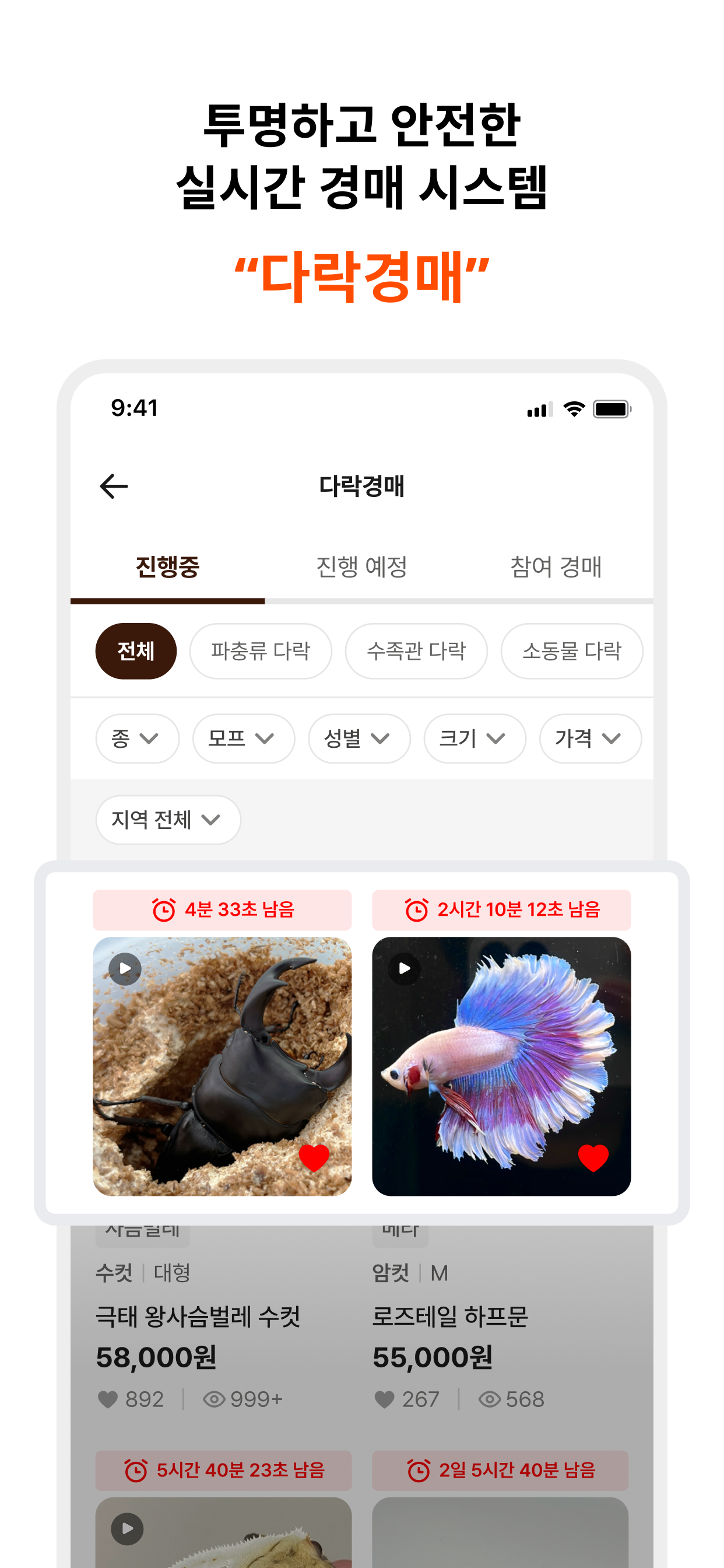 동물다락 - 열대어,파충류, 이색 반려동물 입양 플랫폼