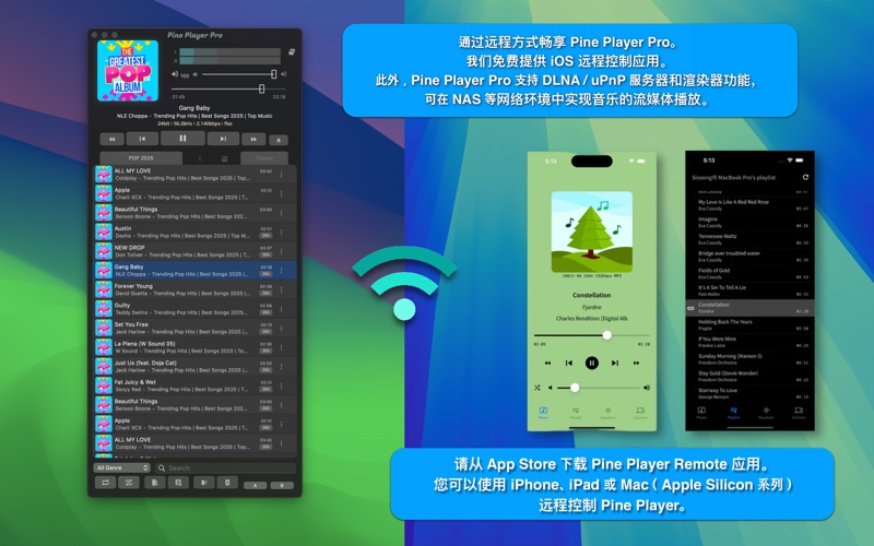 Pine Player screenshot