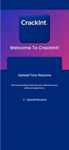 CrackInt screenshot