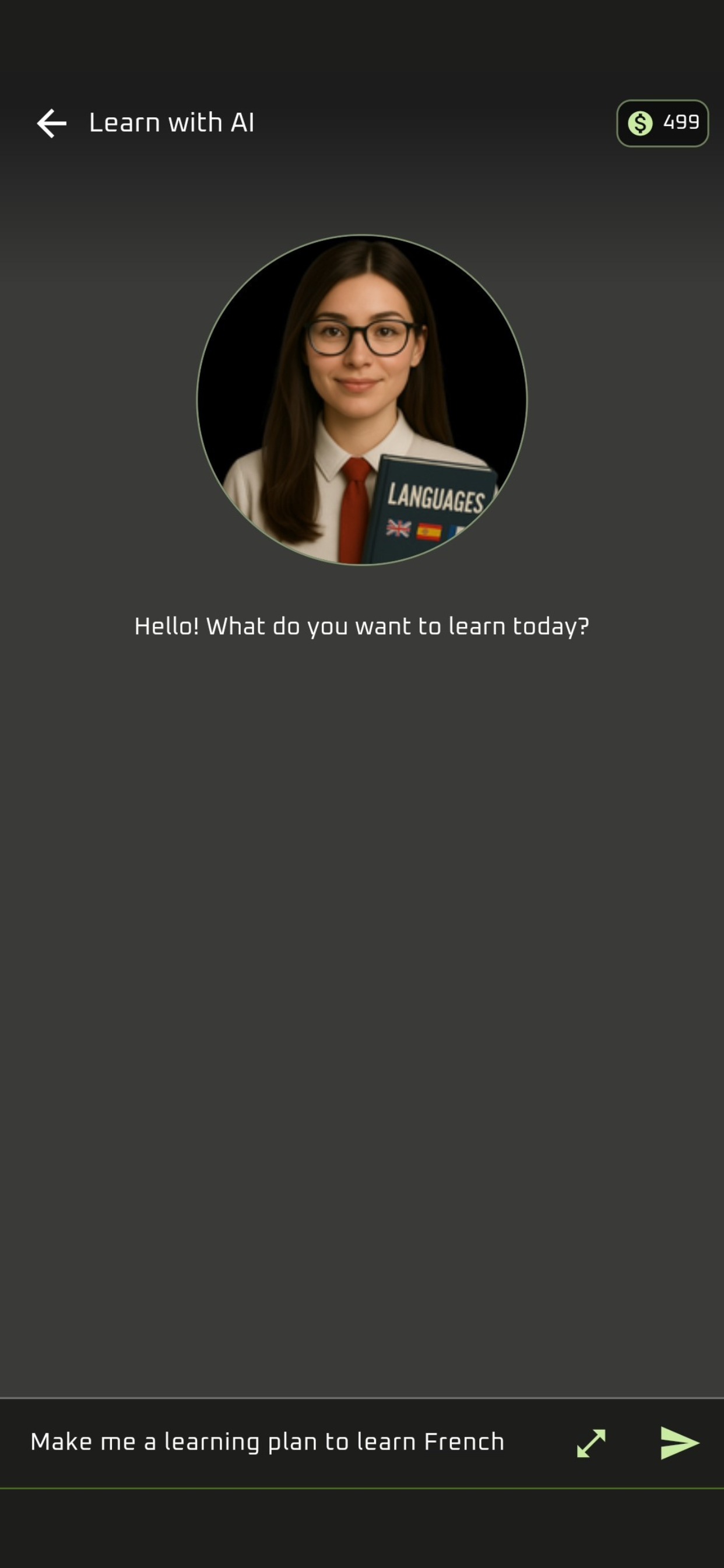 Z-AI Multi Translator