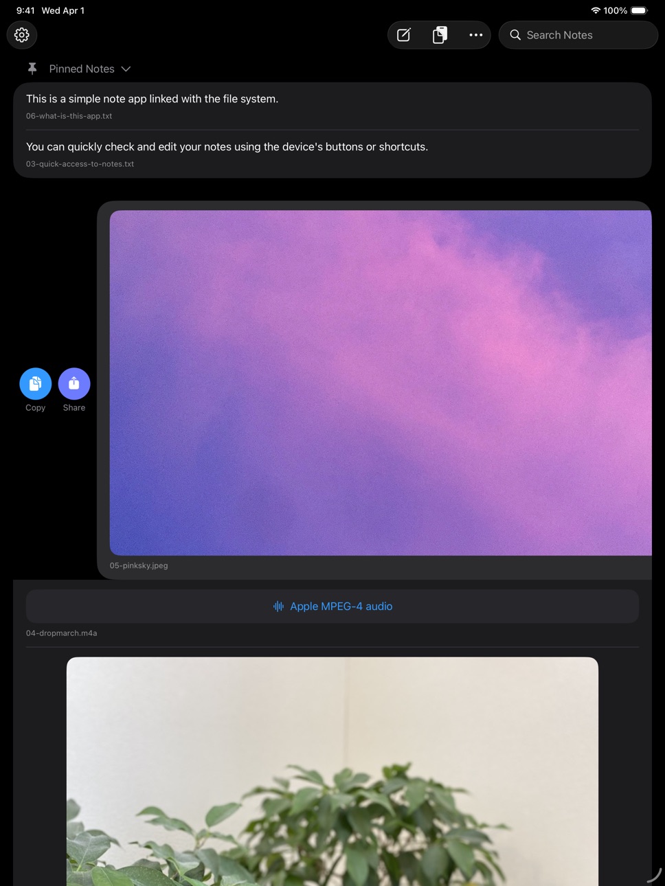 iPad screenshot