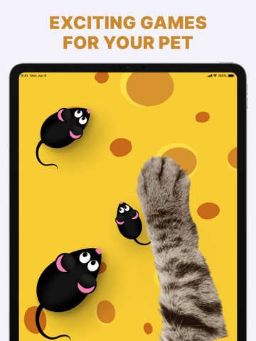 Games for Cats: Cat Fishing + iPad screenshot