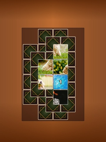 Jigsaw Layers iPad screenshot