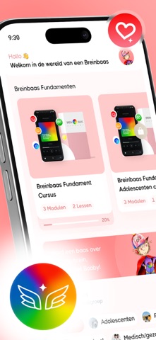 Breinbaas Academy screenshot