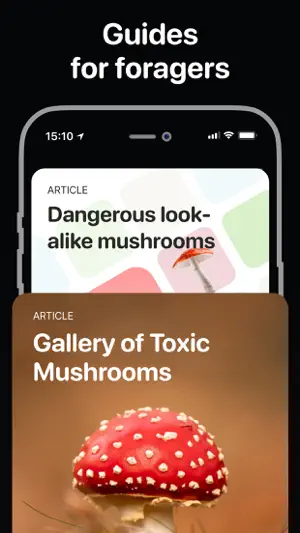 Mushroom Identifier: Foraging screenshot 4