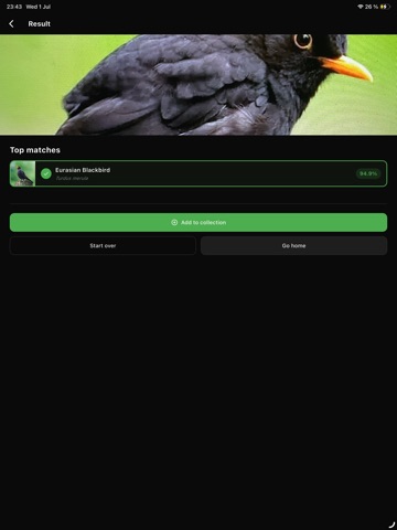 Bird ID: Photo & Sound ID iPad screenshot