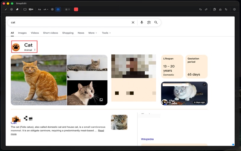 SnapEdit - Screenshot Editor screenshot
