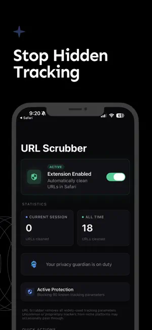 URL Scrubber – Strip UTMs screenshot 2