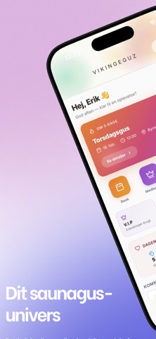VikingeGuZ screenshot