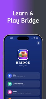Bridge - Play & Learn screenshot 1