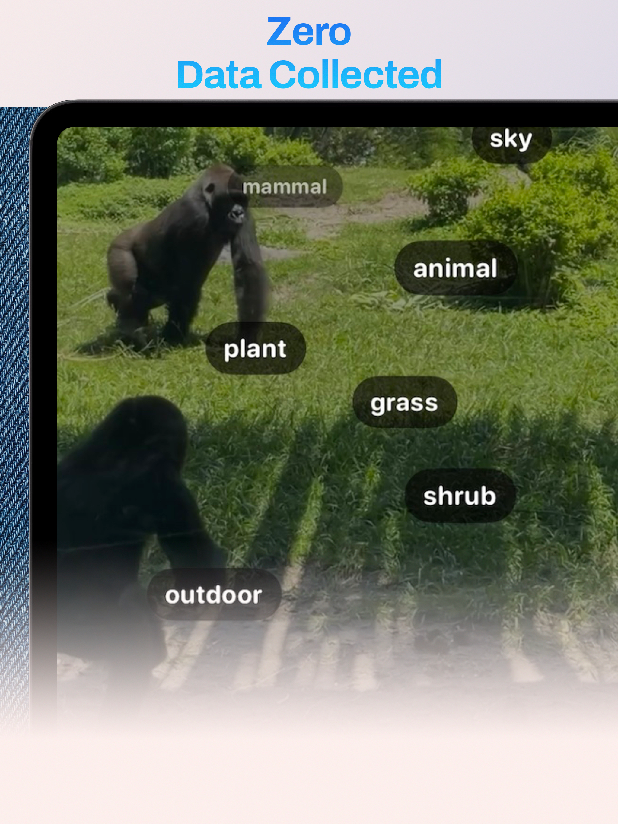 ditl - Auto Video Editor screenshot 12