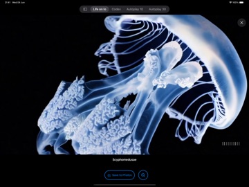 Life on Io iPad screenshot