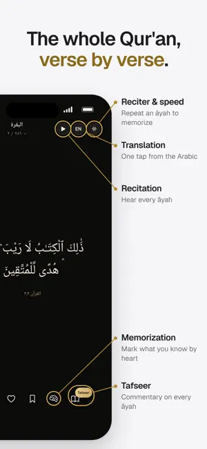 DeenDrops: Focus & Islam screenshot 3