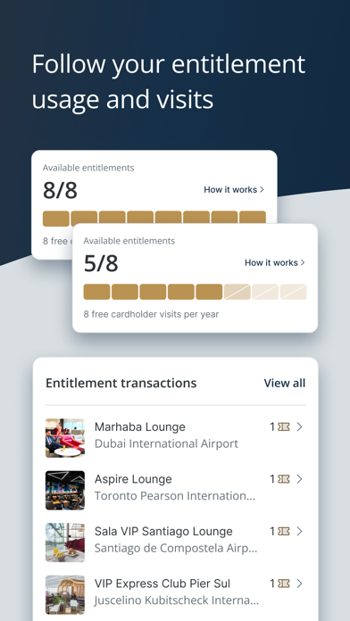 Visa Airport Companion Screenshot