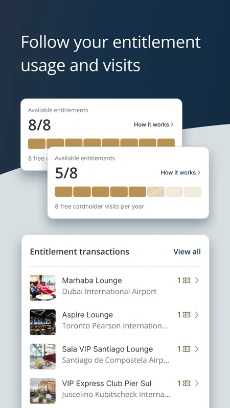 Visa Airport Companion screenshot 4 of 6