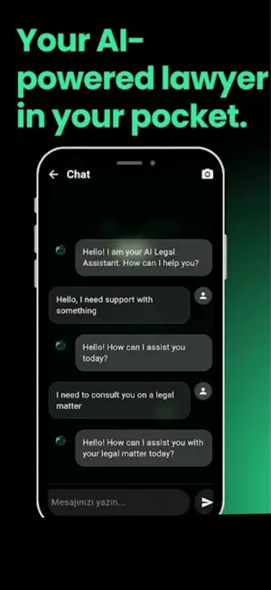 AI Lawyer - Legal Assistant screenshot 3
