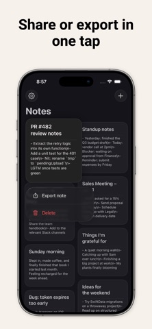 Notti: Notes and work iPhone screenshot