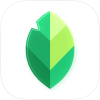 Snapseed: editor de fotos