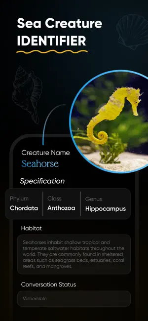 Sea Shell Identifier : Shelify screenshot 3