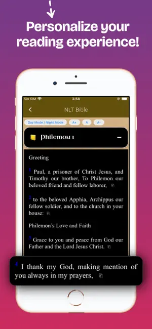 NLT Bible Offline in English screenshot 4