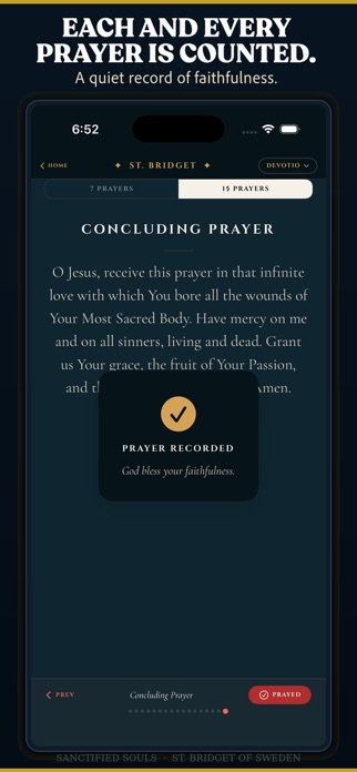 St. Bridget Prayers Screenshot 7 of 10